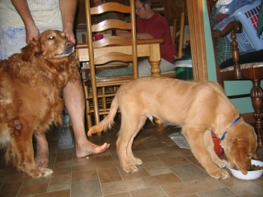 Beau with Tuck